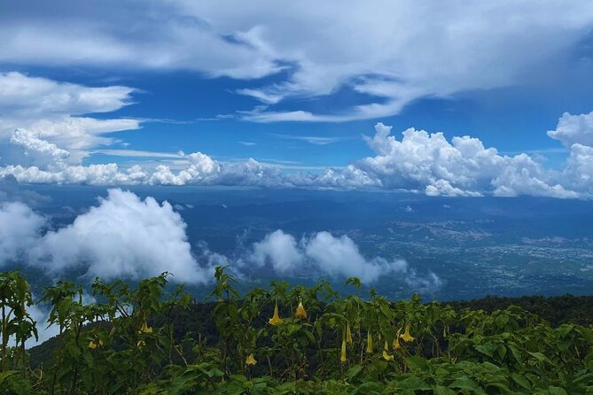 Private Tour to Doi Inthanon Including Twins Pagodas and Hiking