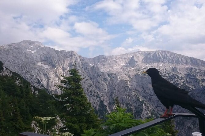 Private Tour to Kehlstein Mountain and Eagles Nest