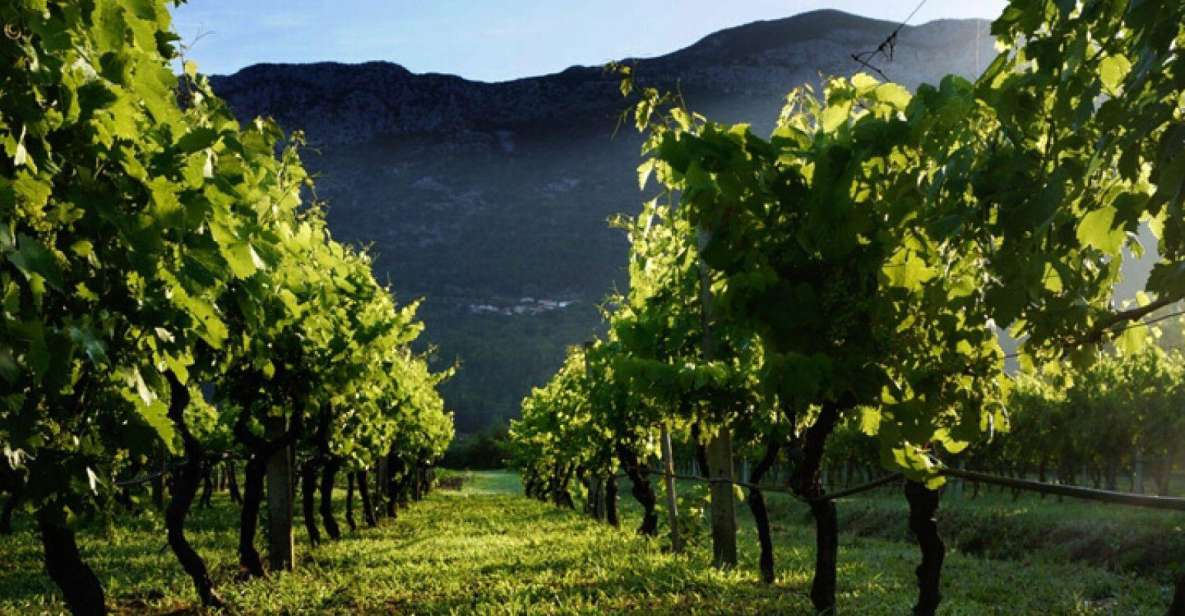 1 private tour to konavle valley with wine tasting Private Tour to Konavle Valley With Wine Tasting