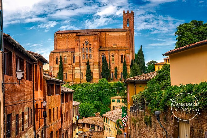 Private Tour to the Gothic Siena