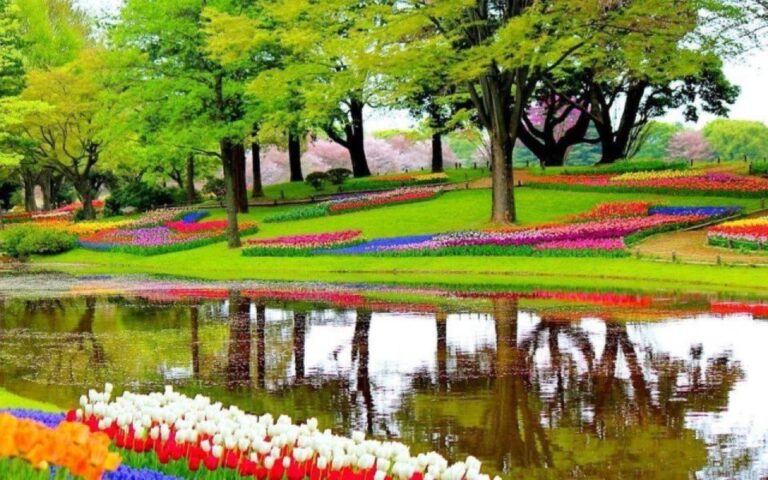 Private Tour to Tulip Experience, Keukenhof & Giethoorn