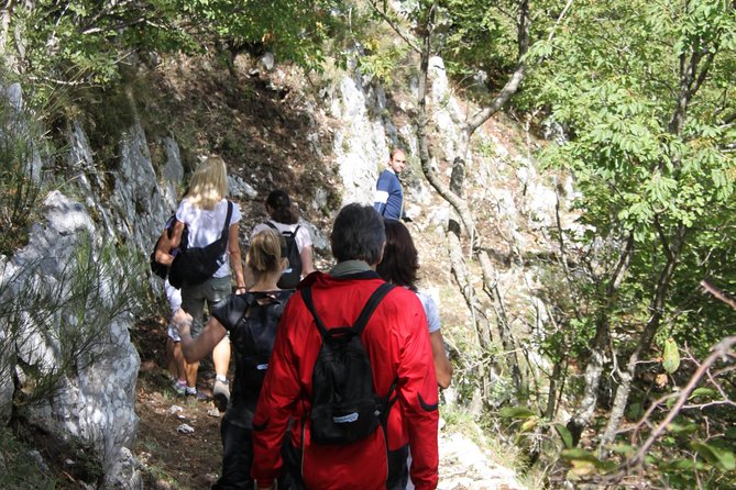 Private Tour: Truffle-Hunting Experience From Sorrento With Lunch