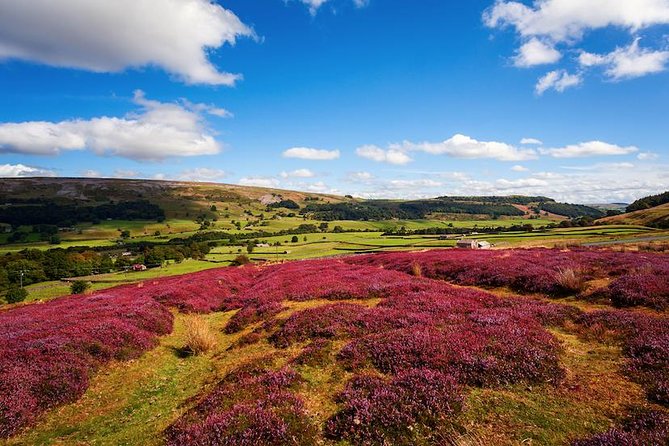 Private Tour - Yorkshire Dales Day Trip From Harrogate - Tour Overview Highlights