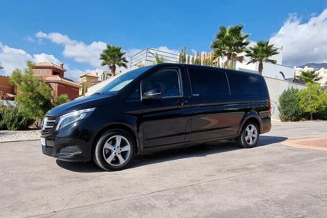 Private Transfer From Alicante/ Alicante Airport to Denia Area - Drop-off and Pickup Instructions