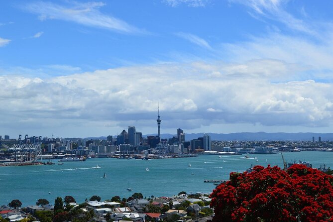 1 private transfer from auckland domestic airport to auckland city Private Transfer From Auckland Domestic Airport To Auckland City