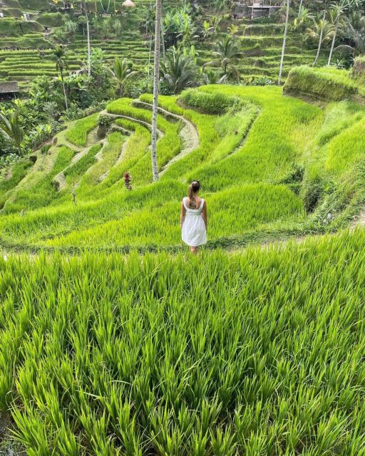 Private Ubud Tour Rice Teracce, Temple & Secret Waterfall