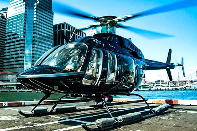 1 private vip new york city helicopter tour and luxury suv Private VIP New York City Helicopter Tour and Luxury SUV