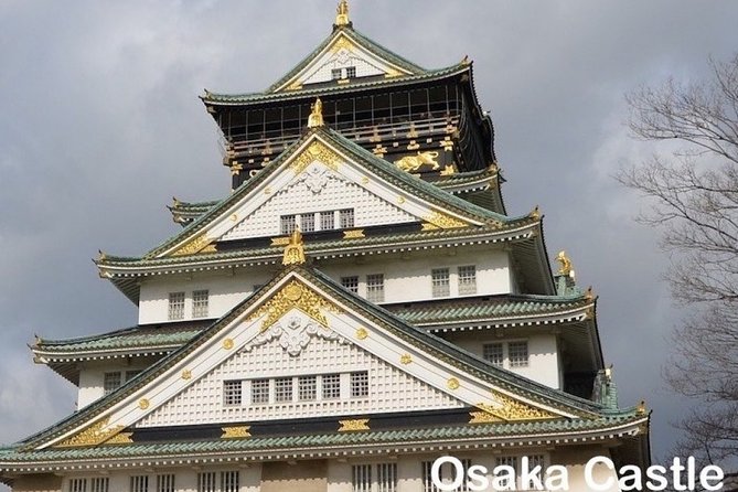 Private Walking Day Tour in Osaka With English / Chinese Speaking Guide