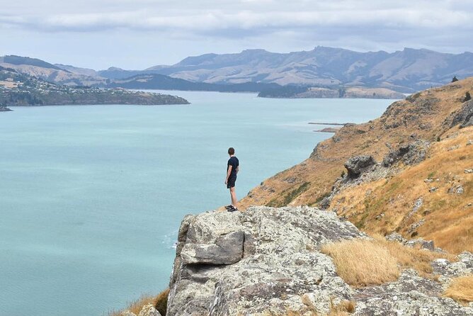 Private Walking Tour From Christchurch – Lyttelton & Godley Head
