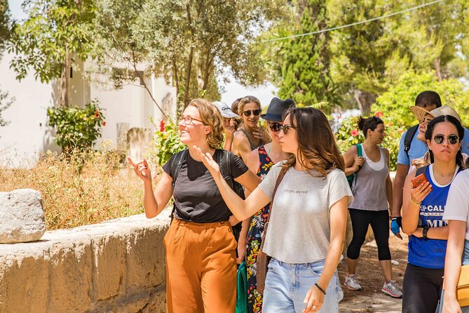Private Walking Tour of Carthage Archaeological Site in Tunisia