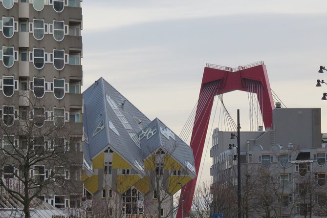 Private Walking Tour of Rotterdam With Local