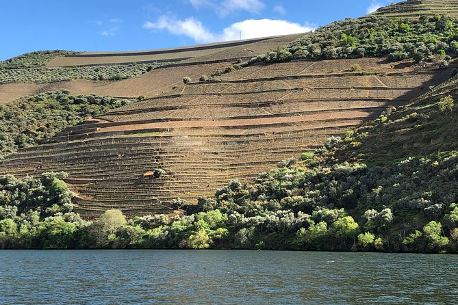 Private Wine Tour in the Douro Valley – Private Wine Tastings and Lunch Included