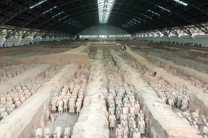 Private Xian Highlight Tour of Terra Cotta Army