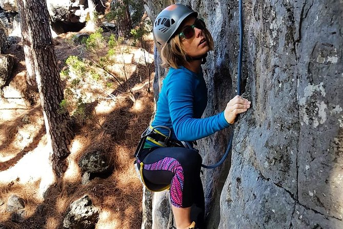 1 professional climbing guide Professional Climbing Guide