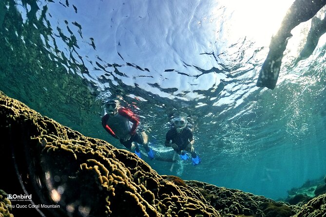 1 professional snorkeling to explore hidden coral spots max 9 pax 2 PROFESSIONAL SNORKELING to Explore Hidden Coral Spots (MAX 9 PAX)