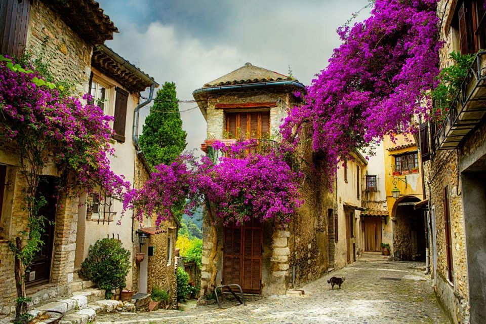 Provence & Its Medieval Villages Full Day Sightseeing Tour