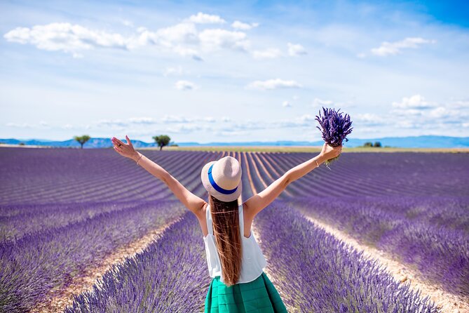 1 provence shared half day lavender tour from aix en provence Provence Shared Half Day Lavender Tour From Aix En Provence