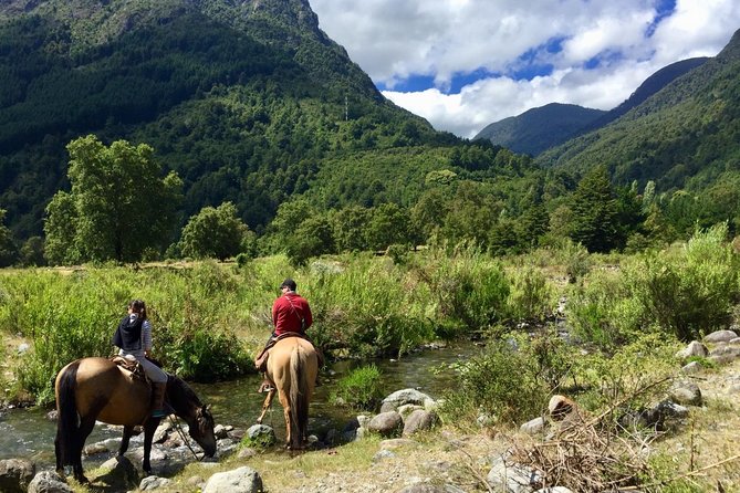 Pucon, Chile: Horseback Trail Riding Excursion  – Pucón