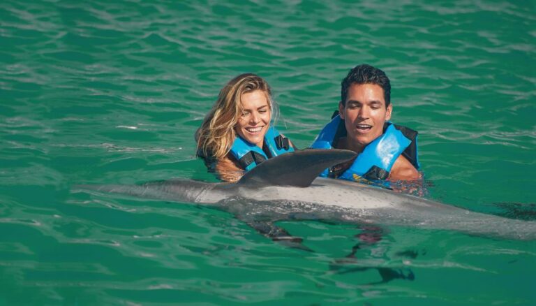 Puerto Aventuras: Dolphin Royal Swim & Kayaking With Buffet
