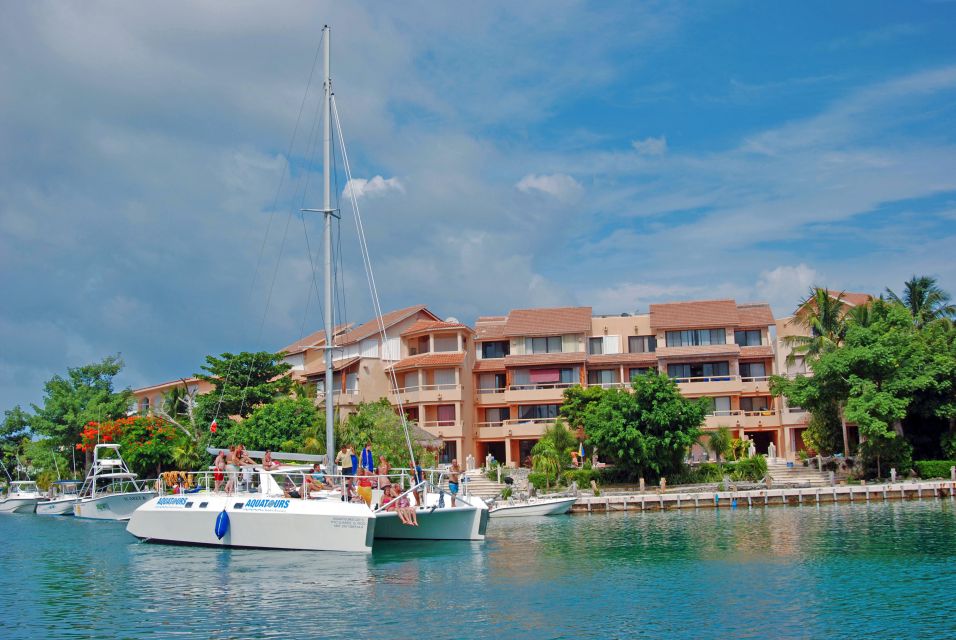 1 puerto aventuras dolphin swim manatee meet and lunch Puerto Aventuras: Dolphin Swim, Manatee Meet, and Lunch