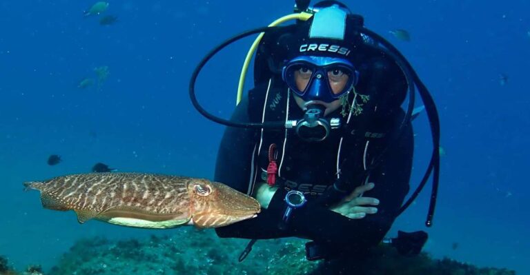 Puerto Del Carmen: Try Suba Diving With 2 Dives and Photos