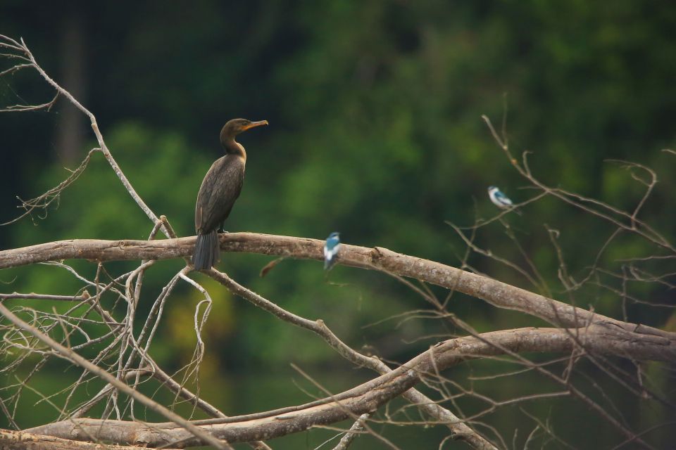 1 puerto maldonado 4 day tambopata national reserve tour Puerto Maldonado: 4-day Tambopata National Reserve Tour