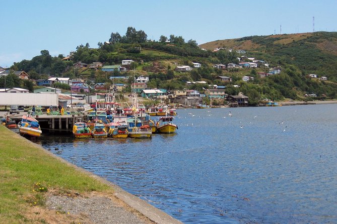 Puerto Montt: Full Day at Chiloé Island, Castro and Dalcahue