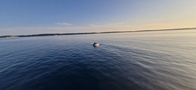 Pula: Charter Boat Tour on Yacht With Skipper