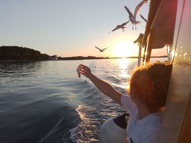 Pula: Dolphin-Watching Cruise at Sunset With Dinner & Drinks
