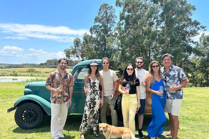 Punta Del Este Small-Group Wine Tour With Expert Guide