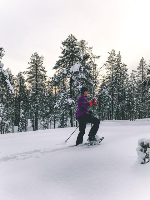 Pyhätunturi: Guided Snowshoeing Tour in Pyhä-Luosto