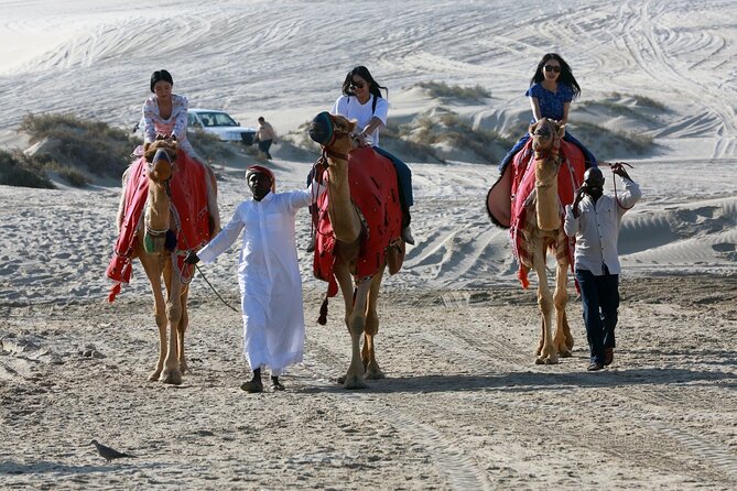 1 qatar desert full day safari Qatar Desert: Full-Day Safari Experience