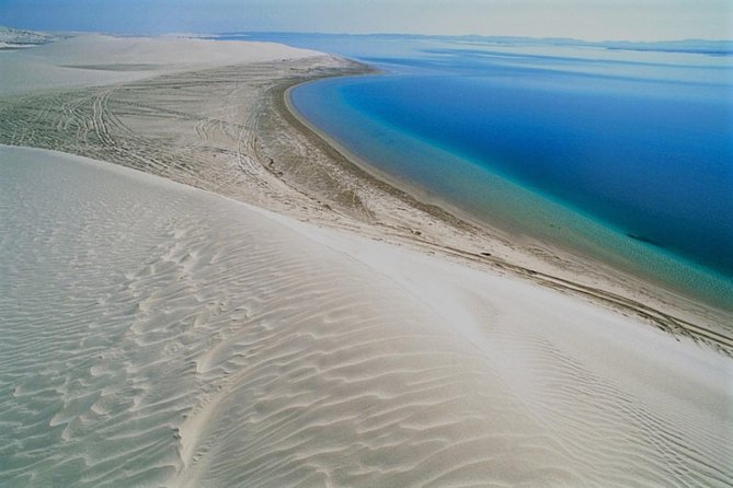 Qatar Gold Dune Safari, Dune Bashing,Camel Ride,Sand Boarding,Inland Sea Desert