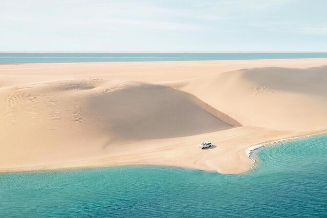 Qatar Private Half-Day Desert Safari Tour From Doha