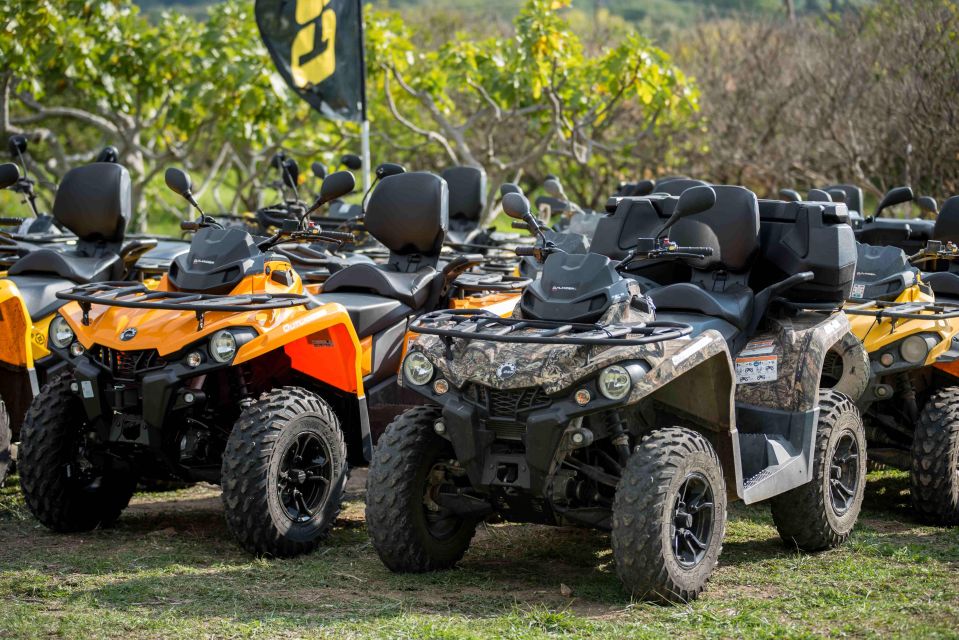 1 quad atv panorama countryside safari dubrovnik 3 hours Quad / ATV Panorama & Countryside Safari Dubrovnik 3 Hours