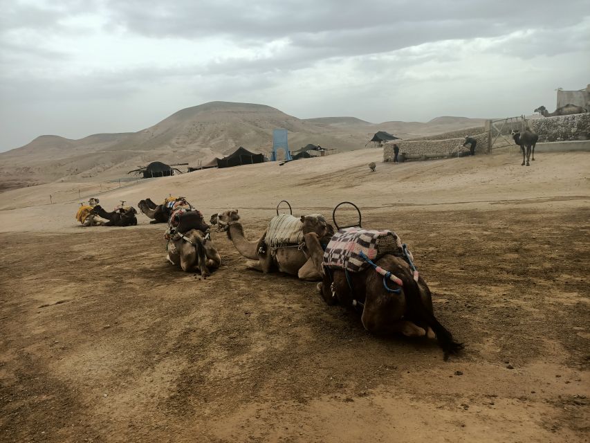 Quad Bike and Camel Ride in Agafay Desert With Lunch