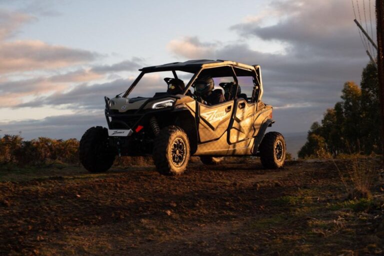 Quad Biking and Berber Breakfast in the Palm Groves of Marrakech