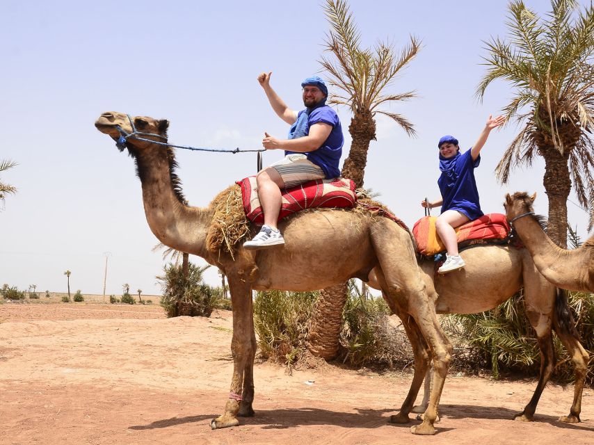 1 quad biking and camel ride in the palm grove Quad Biking and Camel Ride in the Palm Grove