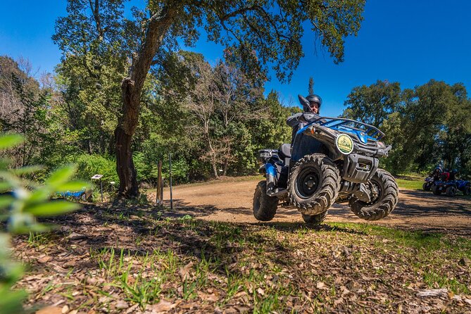 1 quad excursion in the maremma with barbecue in the woods Quad Excursion in the Maremma With Barbecue in the Woods