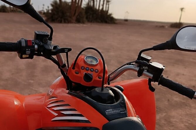 Quad Ride in the Palmeraie Marrakech