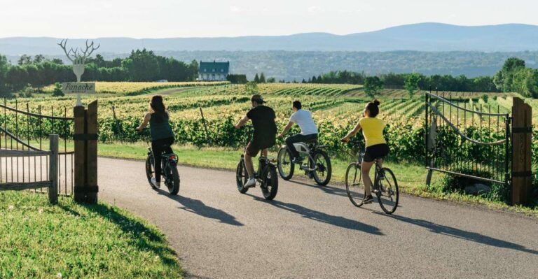 Quebec City: Electric Bike Rental on Ile Dorleans