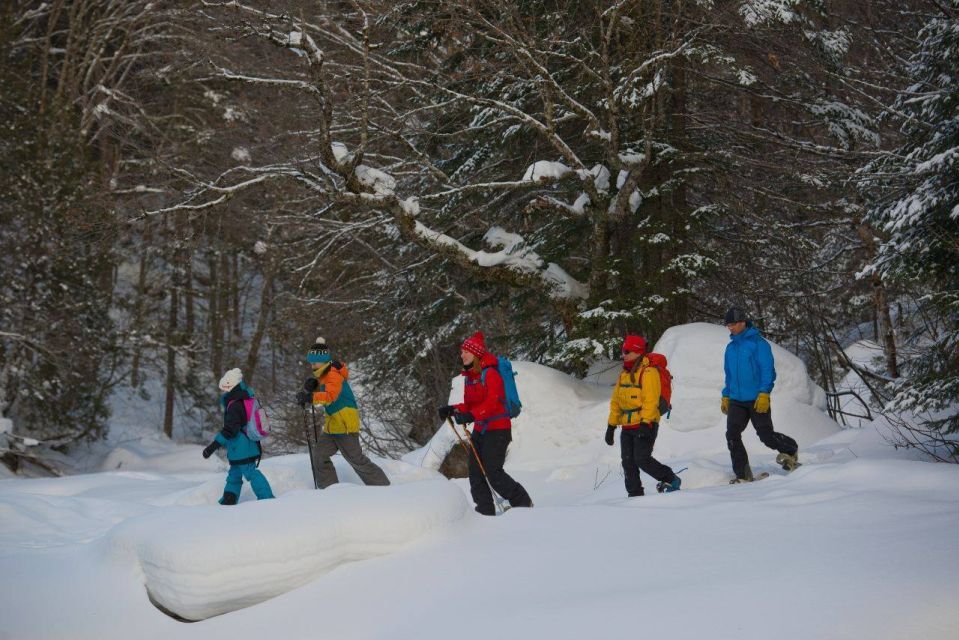 1 quebec city jacques cartier national park snowshoeing tour Quebec City: Jacques-Cartier National Park Snowshoeing Tour