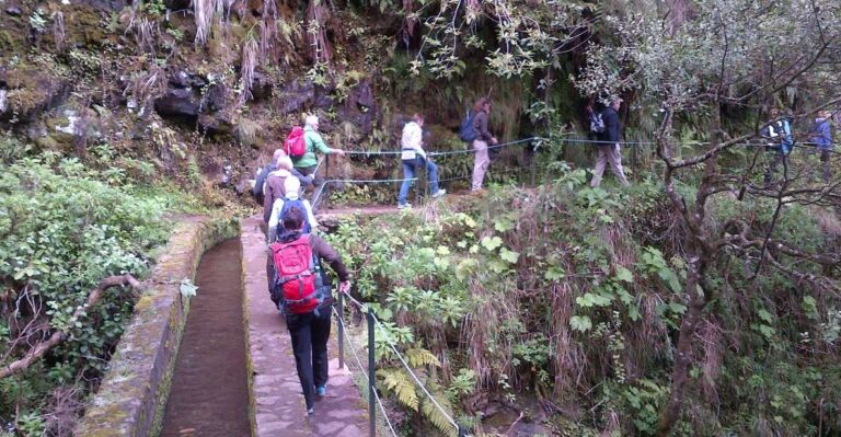 Queimadas Natural Park 5-Hour Guided Hike