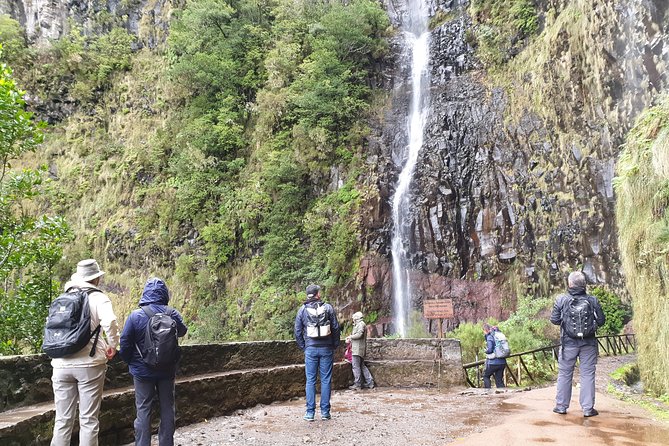 1 rabacal valley 25 waterfalls tour from canico funchal Rabacal Valley 25 Waterfalls Tour From Canico - Funchal