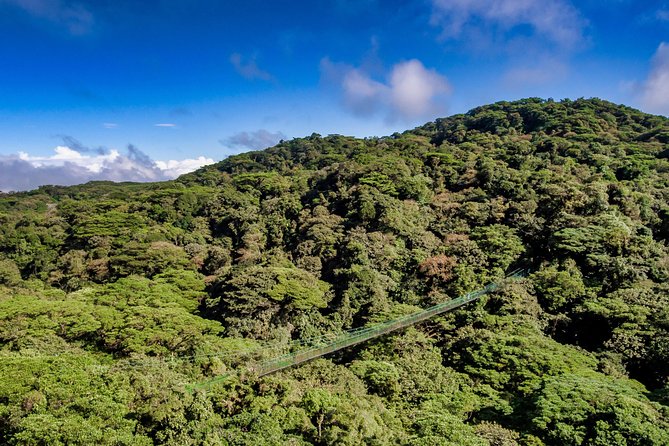 Rainforest Canopy Zipline & Hanging Bridges Tour From Monteverde
