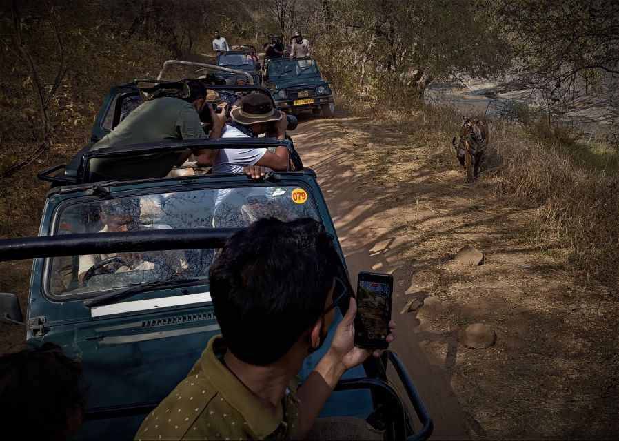 Ranthambore Safari By Canter ( 20 Seater Bus)