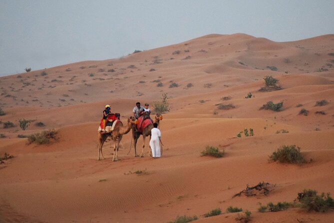 Ras Al Khaimah Desert Safari With Dune Bash, Dinner and Shows