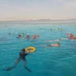 1 ras mohamed white island snorkeling experience by yacht Ras Mohamed & White Island Snorkeling Experience by Yacht