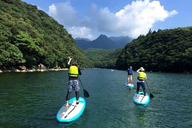 [Recommended on Arrival Date or Before Leaving! ] Relaxing and Relaxing Water Walk Awakawa River SUP