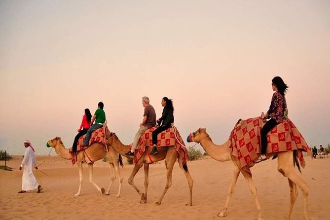 1 red dunes safari with bbq dinner falcon and camel ride Red Dunes Safari With BBQ Dinner, Falcon and Camel Ride